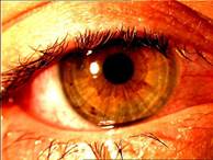 kosmetyczka wodzisław - blog - pielęgnacja oczu i ich oprawy