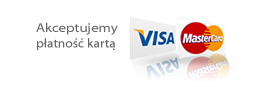 master card, visa logo